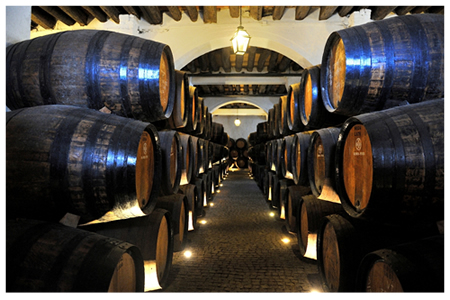 Cave des vins de Porto